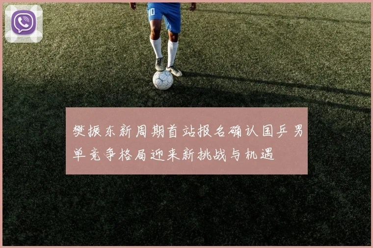 樊振东新周期首站报名确认国乒男单竞争格局迎来新挑战与机遇